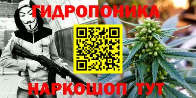 бутират Сланцы